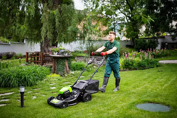 Landscaping & Lawn Care